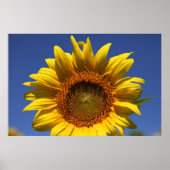 Flüchtige Blick Poster (Vorne)