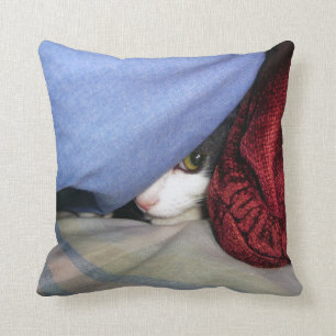 Flüchtiger Blick ein Boo-Kissen Kissen