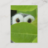 Flüchtiger Blick eine Boo-Eule Visitenkarte (Rückseite)