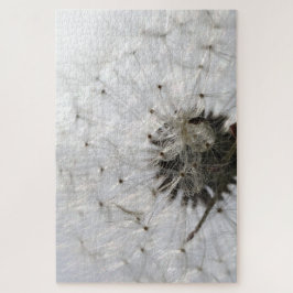 Fluchtpotenzial Puzzle