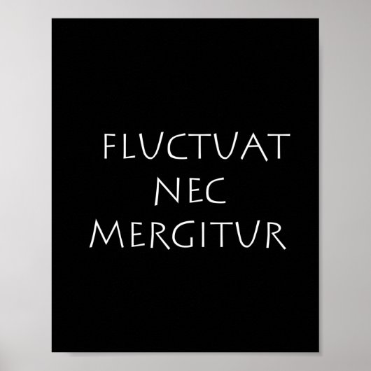 Fluctuat nec mergitur poster (Vorne)