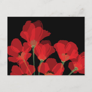 Fluers de Pavot Rouge sur Noir Postkarte