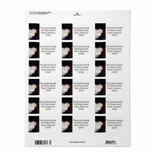 Fluff Adressaufkleber (Vorne)