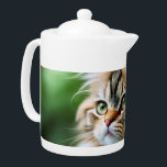 "Fluff and Cuddles: The Chubby Persian Cat"<br><div class="desc">Bilder sind eine flauschige persische Katze namens Celia,  die gerne einfach herumwühlen</div>