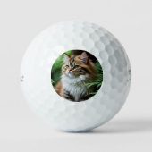 "Fluff and Cuddles: The Chubby Persian Cat" Golfball (Vorderseite)