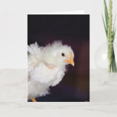 Fluff Card Karte (Vorderseite)