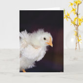 Fluff Card Karte (Gelbe Blume)