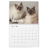 Fluff & Doodle 2026 Kalender (Mär 2027)