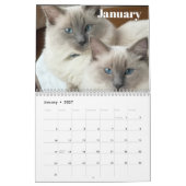 Fluff & Doodle 2026 Kalender (Jan 2027)