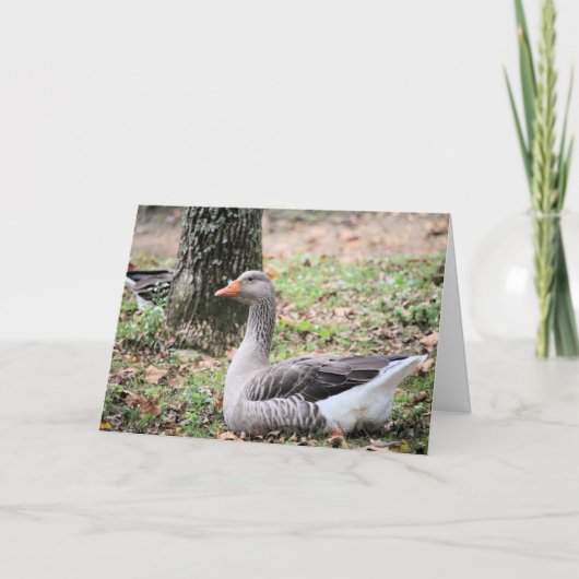 Fluff Feiertagskarte (Vorderseite)