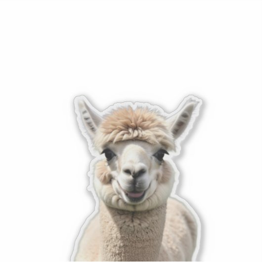 Fluff & Friendship Aufkleber (Vorderseite)