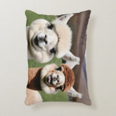 Fluff & Friendship Dekokissen (Vorderseite(Vertikal))