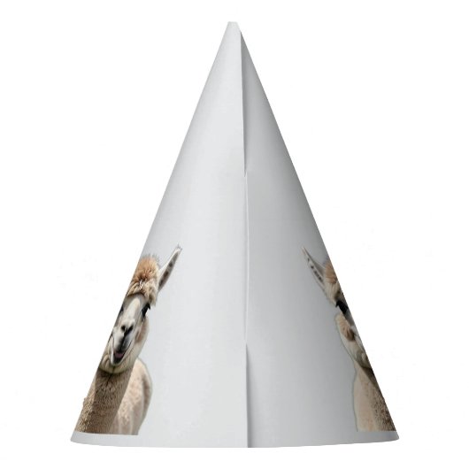 Fluff & Friendship Partyhütchen (Rückseite)