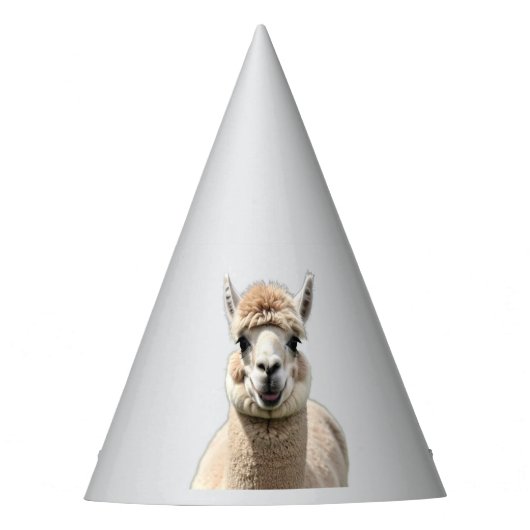 Fluff & Friendship Partyhütchen (Vorderseite)