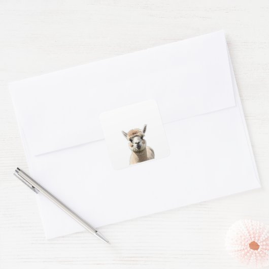 Fluff & Friendship Quadratischer Aufkleber (Umschlag)