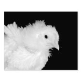 Fluff Gummistempel (Prägung)