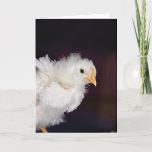 Fluff Karte (Vorderseite)