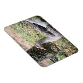 Fluff Magnet (Rechte Seite)