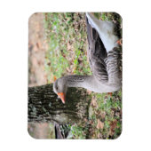 Fluff Magnet (Vertikal)