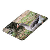 Fluff Magnet (Linke Seite)