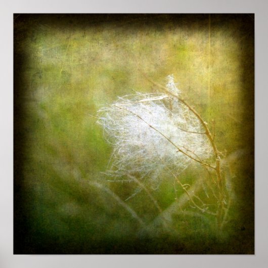 Fluff Poster (Vorne)