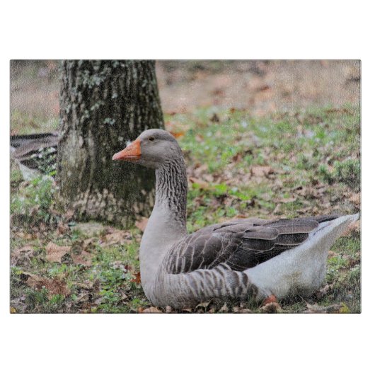 Fluff Schneidebrett (Vorderseite)