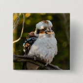 Fluffed up lacht kookaburra button (Vorderseite)