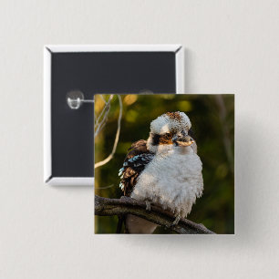 Fluffed up lacht kookaburra button