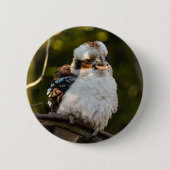 Fluffed up lacht kookaburra button (Vorderseite)