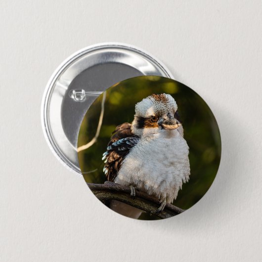 Fluffed up lacht kookaburra button (Vorne & Hinten)