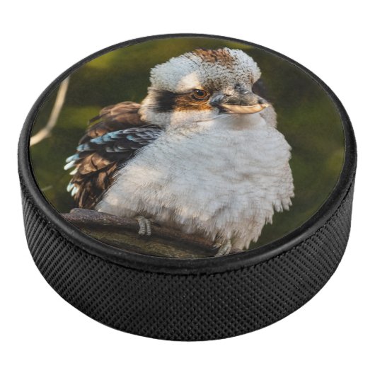 Fluffed up lacht kookaburra eishockey puck (3/4)