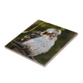 Fluffed up lacht kookaburra fliese (Seite)