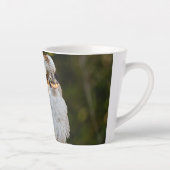 Fluffed up lacht kookaburra milchtasse (Rechts)