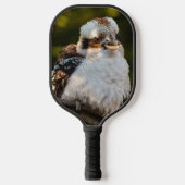 Fluffed up lacht kookaburra pickleball schläger (Vorderseite)