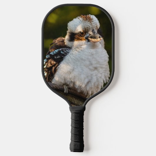 Fluffed up lacht kookaburra pickleball schläger (Rückseite)