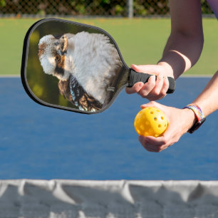 Fluffed up lacht kookaburra pickleball schläger