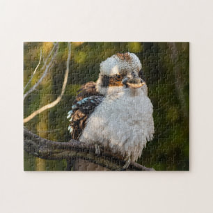 Fluffed up lacht kookaburra puzzle