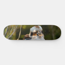 Fluffed up lacht kookaburra skateboard