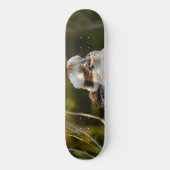 Fluffed up lacht kookaburra skateboard (Vorderseite)