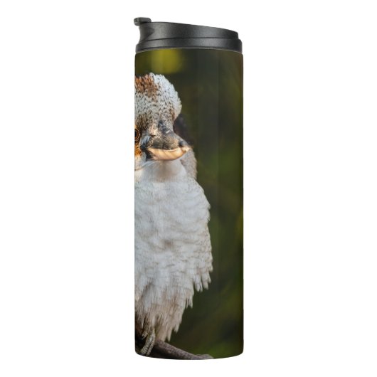 Fluffed up lacht kookaburra thermosbecher (Nach rechts gedreht)