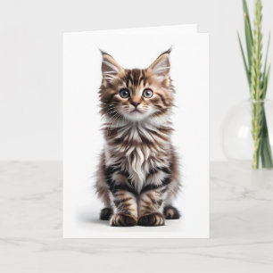 Fluffige Langhaarmaincoon-Katze leere Begrüßung Karte
