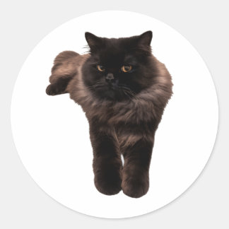 Fluffige Langhaarschwarze Katze Aufkleber - Meine