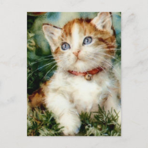 Fluffige Weihnachtskatze Wasserfarbe Postkarte