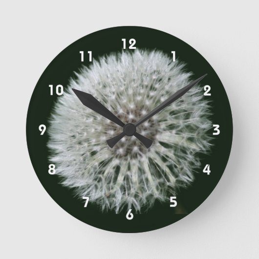 Fluffige weiße Löwenzahnblüte Runde Wanduhr (Vorderseite)