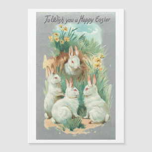 Fluffige weiße Vintage-Osterhasen Magnetkarte
