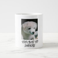 "Fluffiger Weißer Hundewelpe Charme"