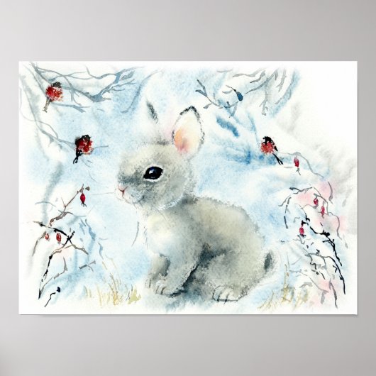 Fluffiges Kaninchen im Schnee Poster (Vorne)