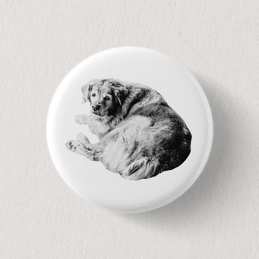 Fluffiges Nest, freundlicher Blick Button (Vorderseite)