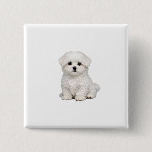 Fluffiges weißes Malteser-Welpenportrait Süßer Hun Button