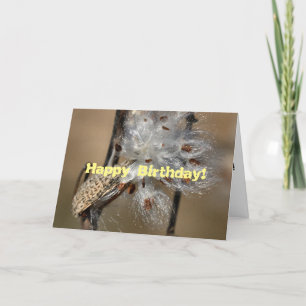 Fluffkin Birthday Card Karte